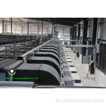 थोक चीनी अखरोट की गुठली हल्के हिस्सों